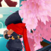 ninja slash