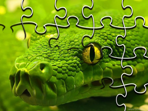 Slagalica Snakes